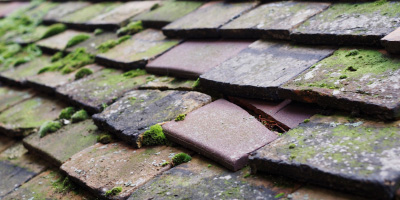 Pavenham roof repair costs